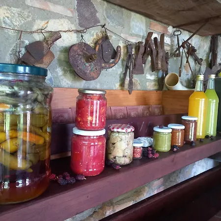 Casa Lalla Casa vacanze