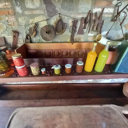 Casa Lalla * Livorno